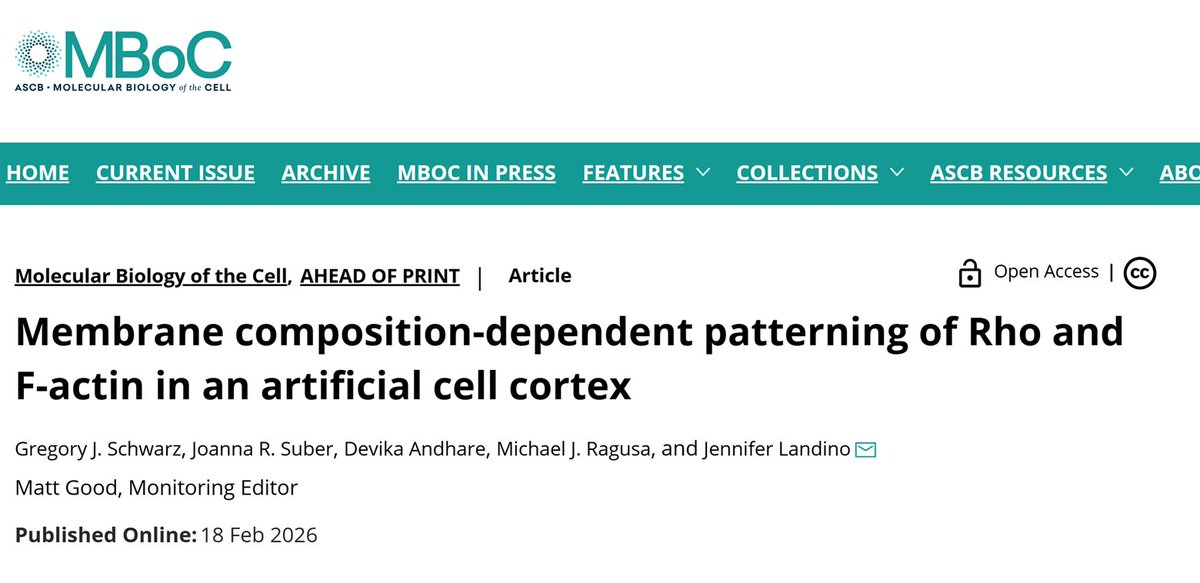 Jennifer Landino tweet media