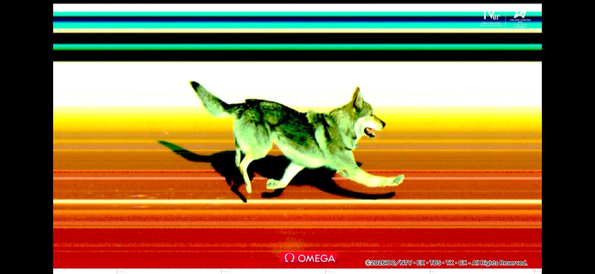 クロスカントリーの競技中に犬の乱入
の何がおもろいって
カメラ判定の横からの写真をすぐ出したとこなんよwww