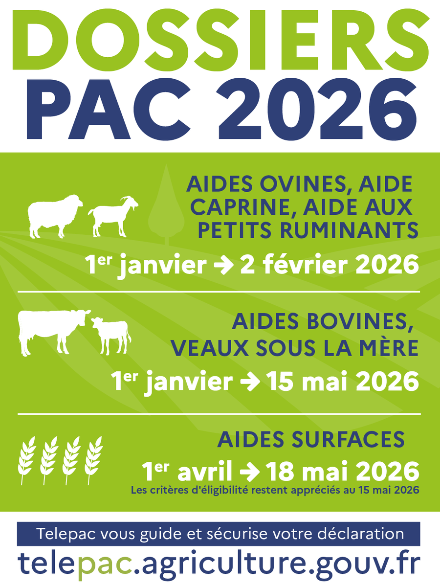 Agri_Gouv's tweet photo. #Telepac | La procédure de télédéclaration 2026 pour les aides animales est ouverte depuis le 1er janvier 2026.

Comment faire une déclaration ? Comment être accompagné dans cette démarche ? Quels sont les délais ?

➕ Toutes les réponses à vos questions : https://t.co/fvoEnPcwmv https://t.co/zFzj419zxS