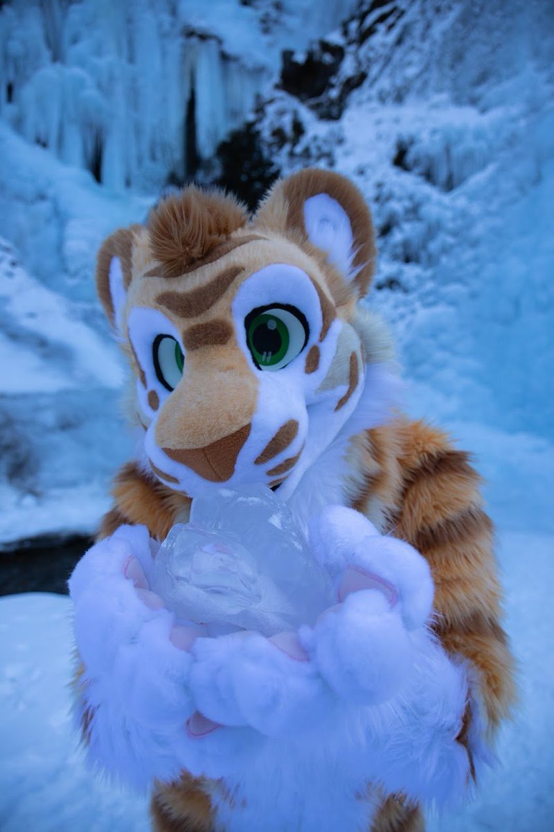 CaidaTigre tweet media