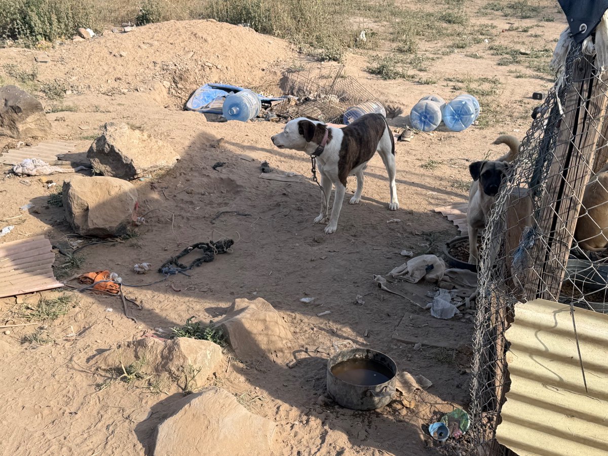 Maricopa County Sheriff's Office tweet media