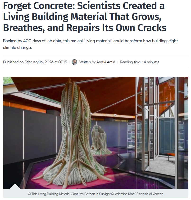 Chubby♨️ tweet media