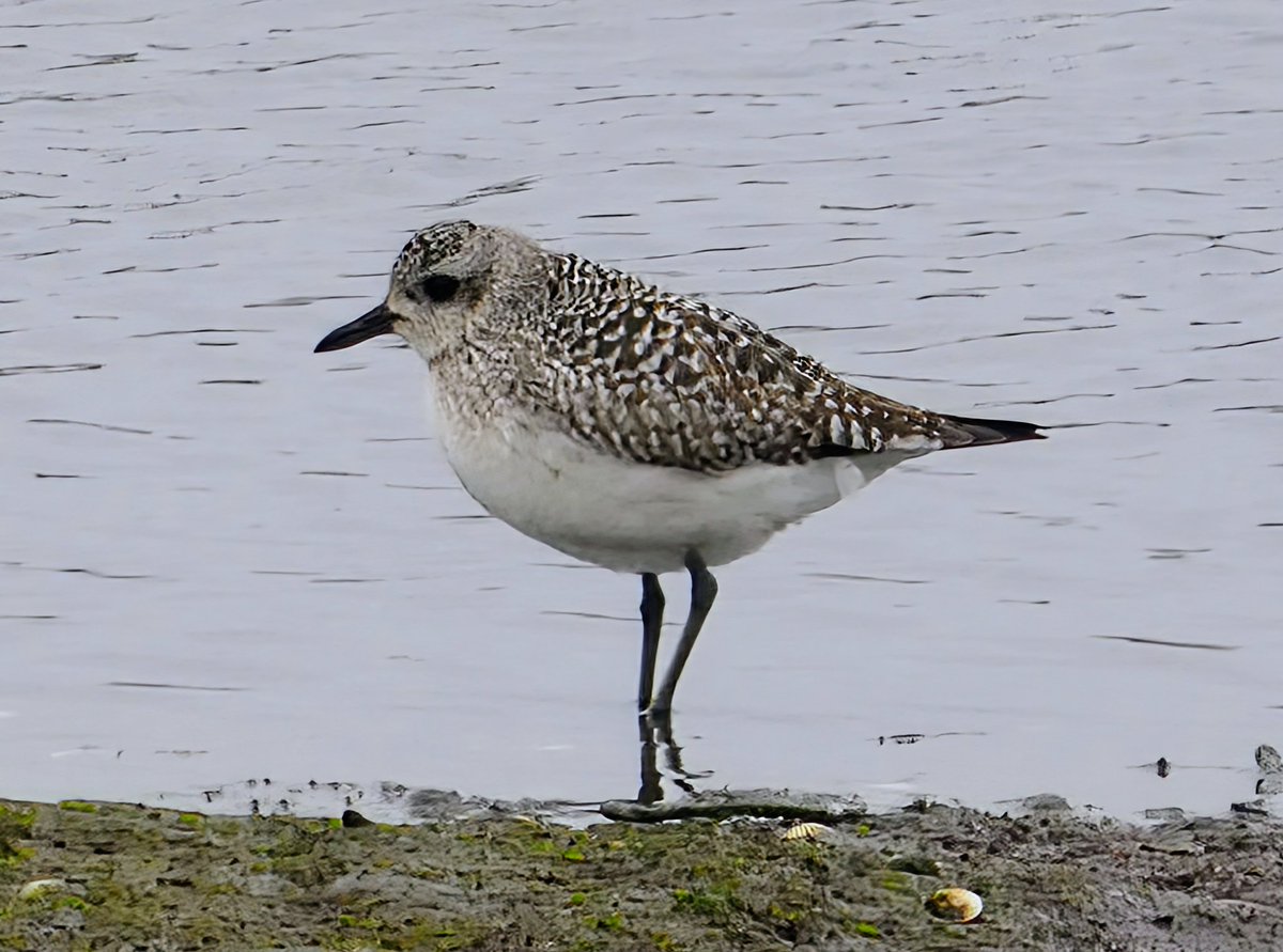 James Reader🏴󠁧󠁢󠁥󠁮󠁧󠁿🐝🎸 tweet media