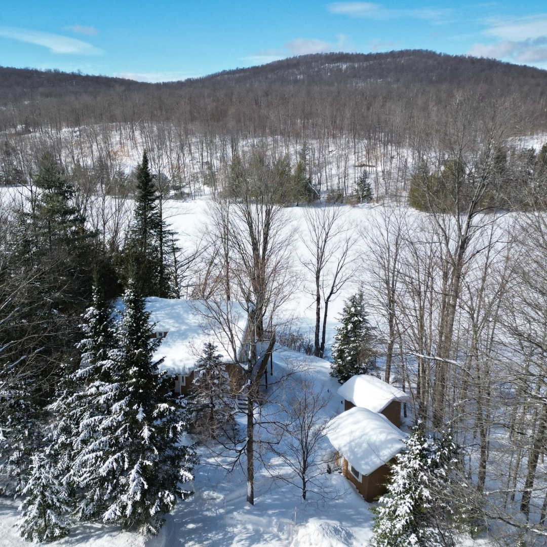 davidbourgon's tweet photo. NOUVEAU! Rare opportunité au Lac Gilbert, à 1h15 de MTL! Propriété impeccable avec 100' de façade sur l'eau, avec vue sur les couchers de soleil et la montagne. Plafond cathédrale, rez-de-jardin totalement aménagé, 2 thermopompes. Idéal comme chalet ou résidence principale! https://t.co/quklsJtcQf