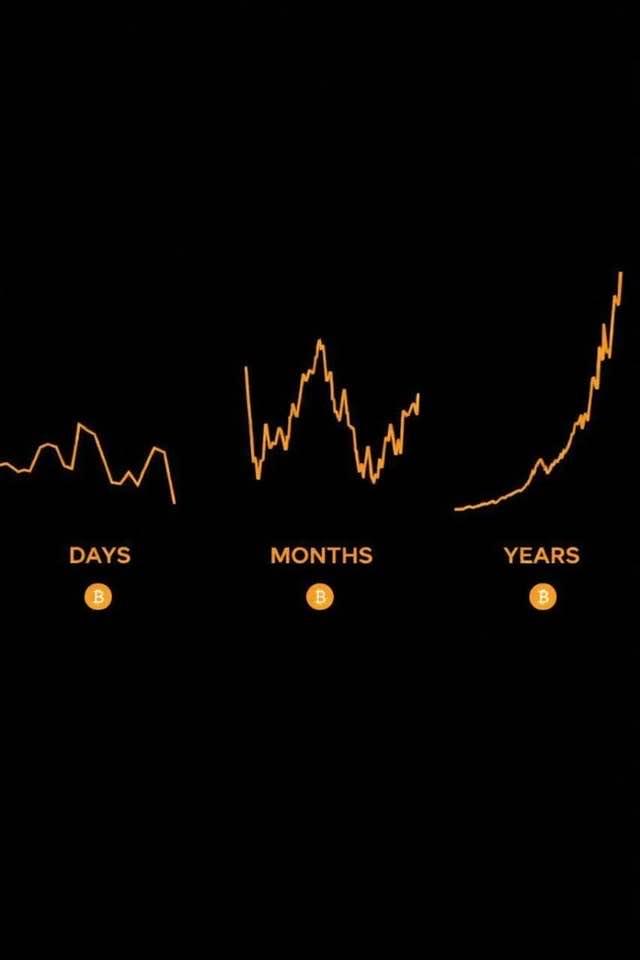 DCA with Bitcoin and nothing else matters.