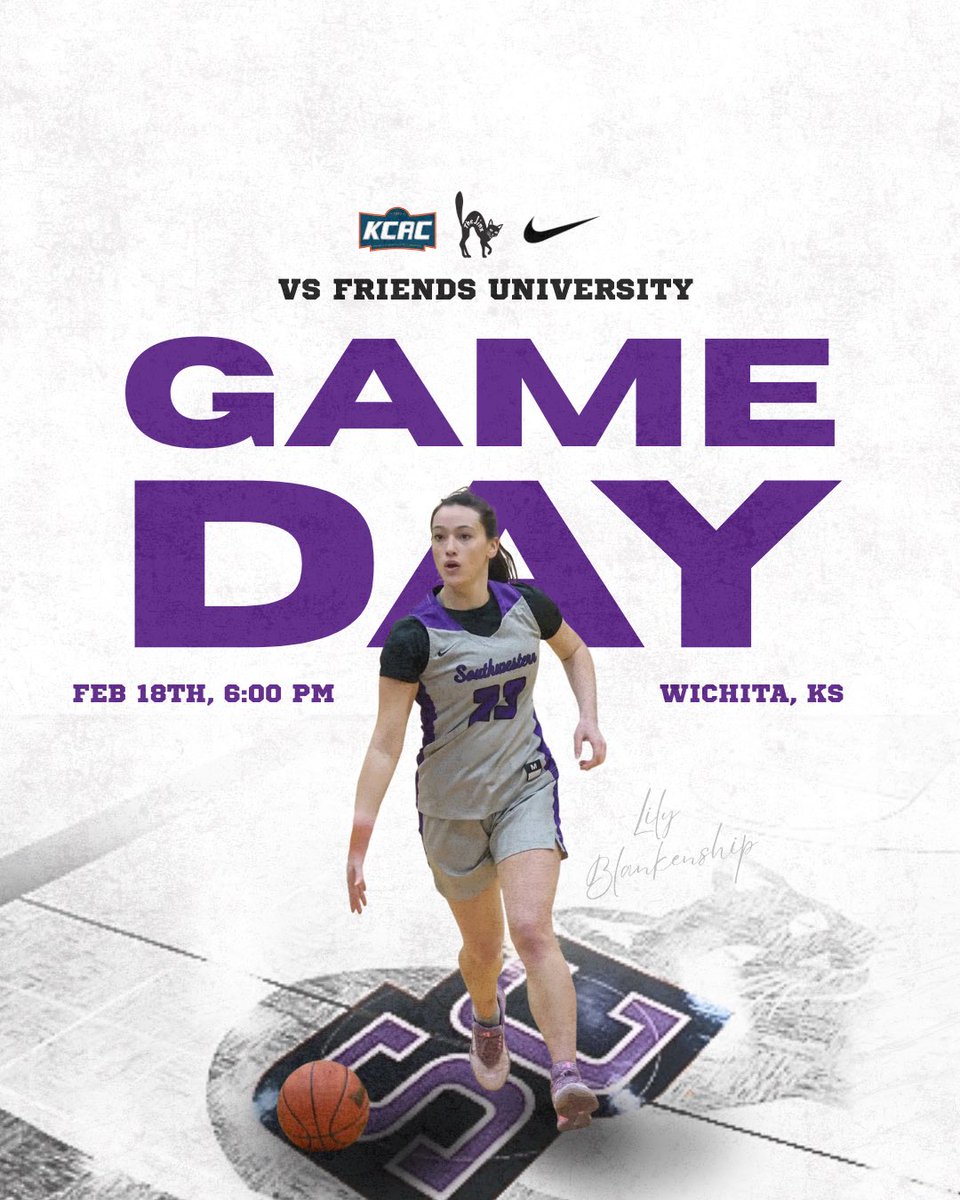 LadyBuilderBasketball tweet media