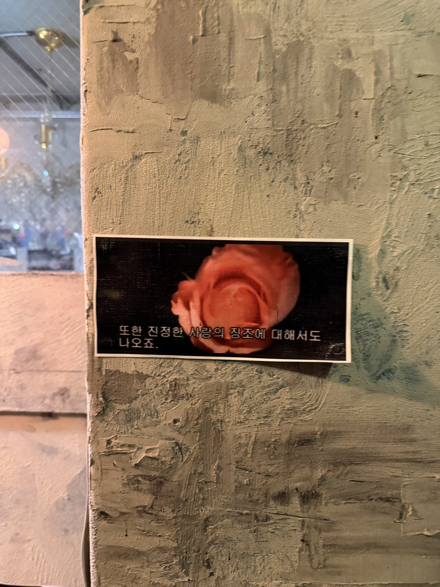 다다랩 갔는데 그토록 찾아다니던 음악혐오가 (!!!)