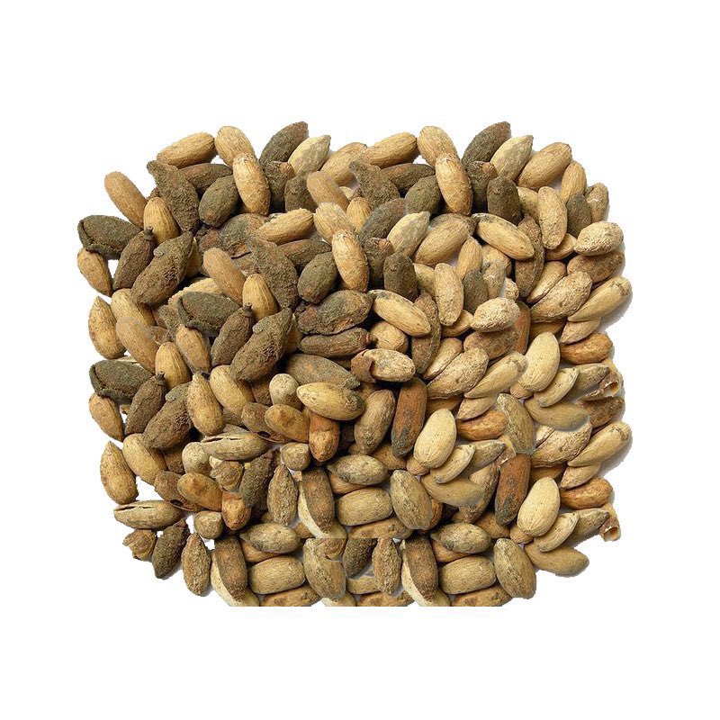 NY_amankwaa's tweet photo. Move from Mr BALD 👨‍🦲 to Rastaman in weeks 😂
Remedy: 
🪴For BALDNESS and HAIR GROWTH, roast the dried seed of neem + its fresh leaves to obtain the oil, mix the oil with shea butter and apply on the part of interest twice daily. Available, contact in bio https://t.co/PjhgyXLf37