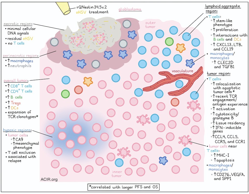 Maxime Meylan tweet media