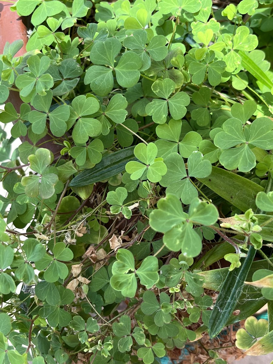 Anneth3ap's tweet photo. 🧐 https://t.co/z0Dbfv5HPL
