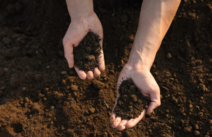 AlbertaEFP's tweet photo. Want to learn more about your farmland, but don't know where to start? There are a bunch of tools and resources out there to help you better understand your farmland! One example is the the Soil Texture Map! https://t.co/dOEDn4CMXV https://t.co/hdExl6z6Fs
