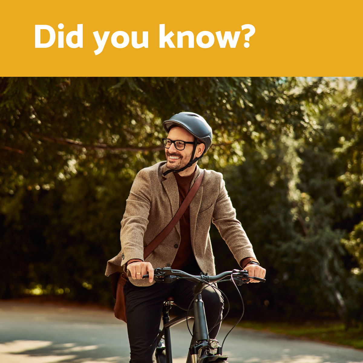 CarFreeDayLI tweet media