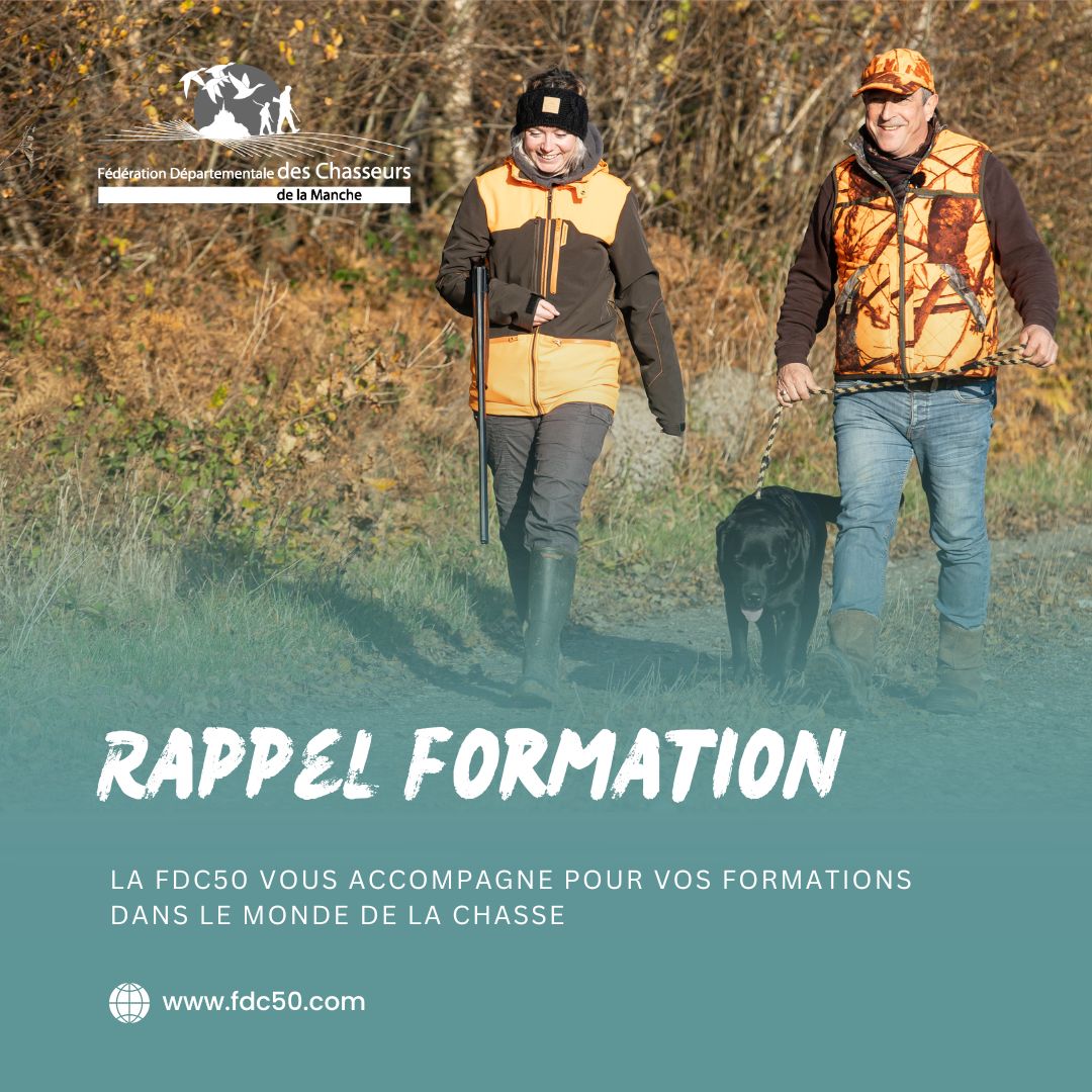 FdcManche's tweet photo. 📢 Rappel formations chasse

Sécurité, réglementation, bonnes pratiques…
👉 Pensez à vérifier que vos formations sont à jour.
Être formé, c’est chasser en sécurité et en confiance.

#FDC50 #FormationChasse #SécuritéChasse https://t.co/TkTBH7GZOg