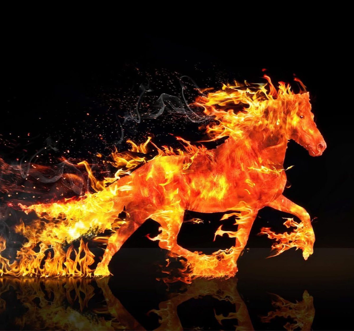 1978 — The Year of the Earth Horse

The Horse does not wait to be led.
It runs.

Not away from storms —
but through them.

Born in the Year of the Horse,
I was never built for small rooms or quiet ambitions.
I was built for movement. For expansion. For impact.

The Earth element