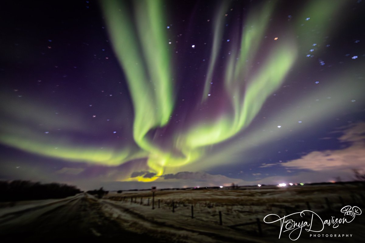 TonyaDavisPhoto's tweet photo. This show was Jan 20th 2025. That night we had a Snow squall warning winds were up to 90kms. Blurry pics due to the weather conditions. 
@weathernetwork
@CanonCanada
@NatGeo
@CamroseCounty
#albertaphotographer #auroraborealis #naturephotography #canon6dmarkII #Longexposure https://t.co/dR5Fr2H4fI
