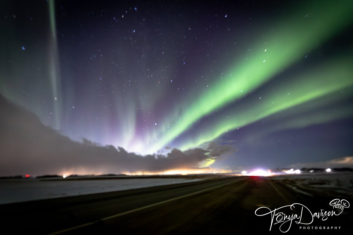 TonyaDavisPhoto's tweet photo. This show was Jan 20th 2025. That night we had a Snow squall warning winds were up to 90kms. Blurry pics due to the weather conditions. 
@weathernetwork
@CanonCanada
@NatGeo
@CamroseCounty
#albertaphotographer #auroraborealis #naturephotography #canon6dmarkII #Longexposure https://t.co/dR5Fr2H4fI
