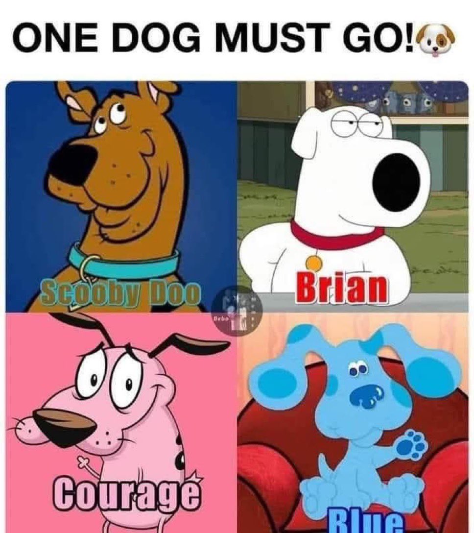 Andrew  Anderson tweet media