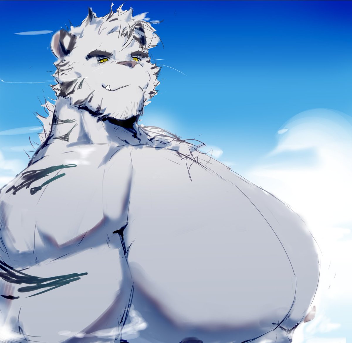 肉壮东北虎 tweet media