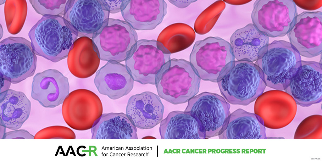 AACRFoundation's tweet photo. Tremendous progress against blood cancers in the past decade has significantly decreased blood cancer–related deaths, improved survival rates, and helped survivors live fuller lives. Learn about these advancements in the @AACR #CancerProgressReport: https://t.co/Z13TnHCI21 https://t.co/p18WEVpn2c
