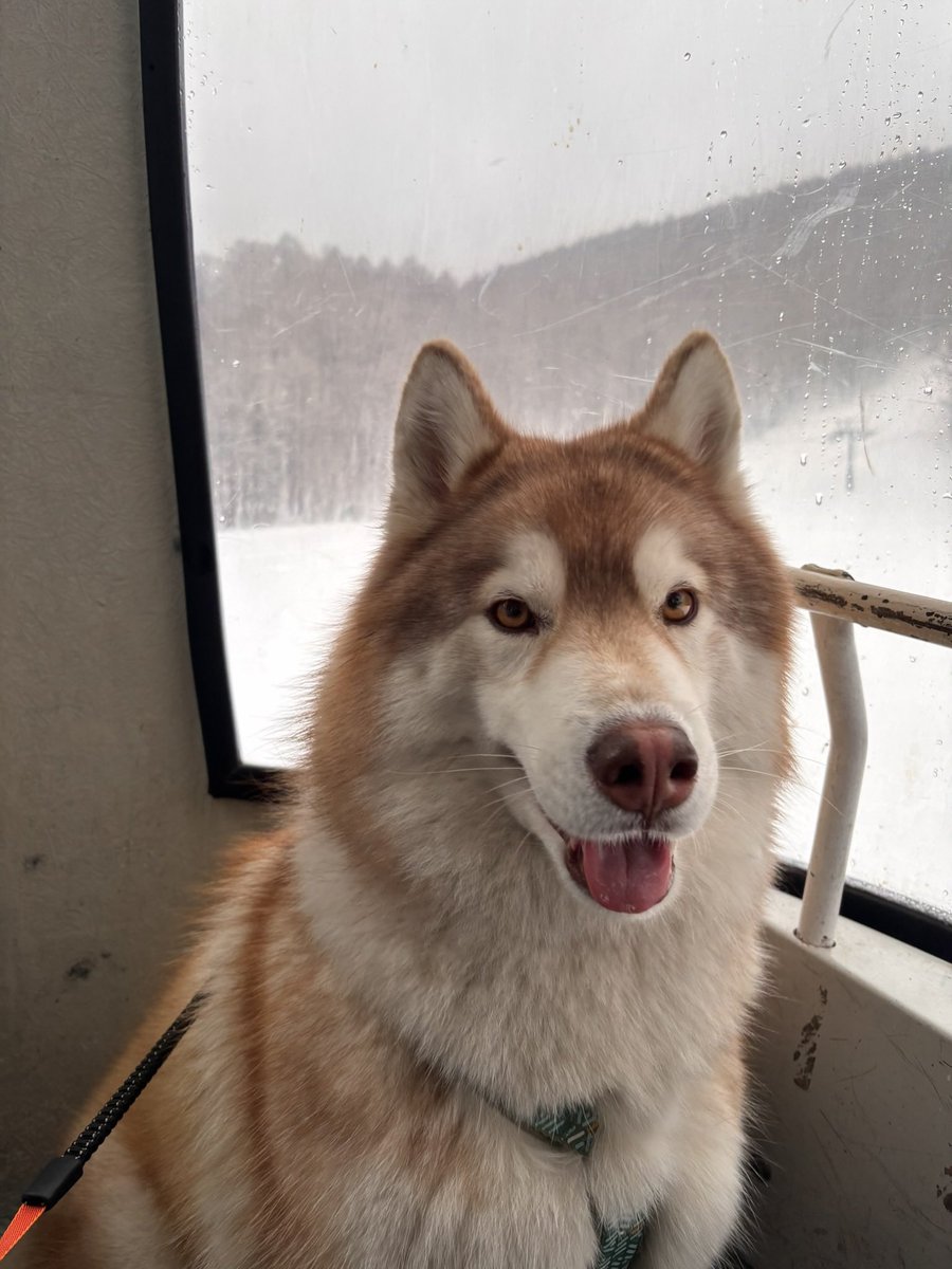 茶々丸チャチャチャ👐 (@chacha_maru1113) / Posts / X