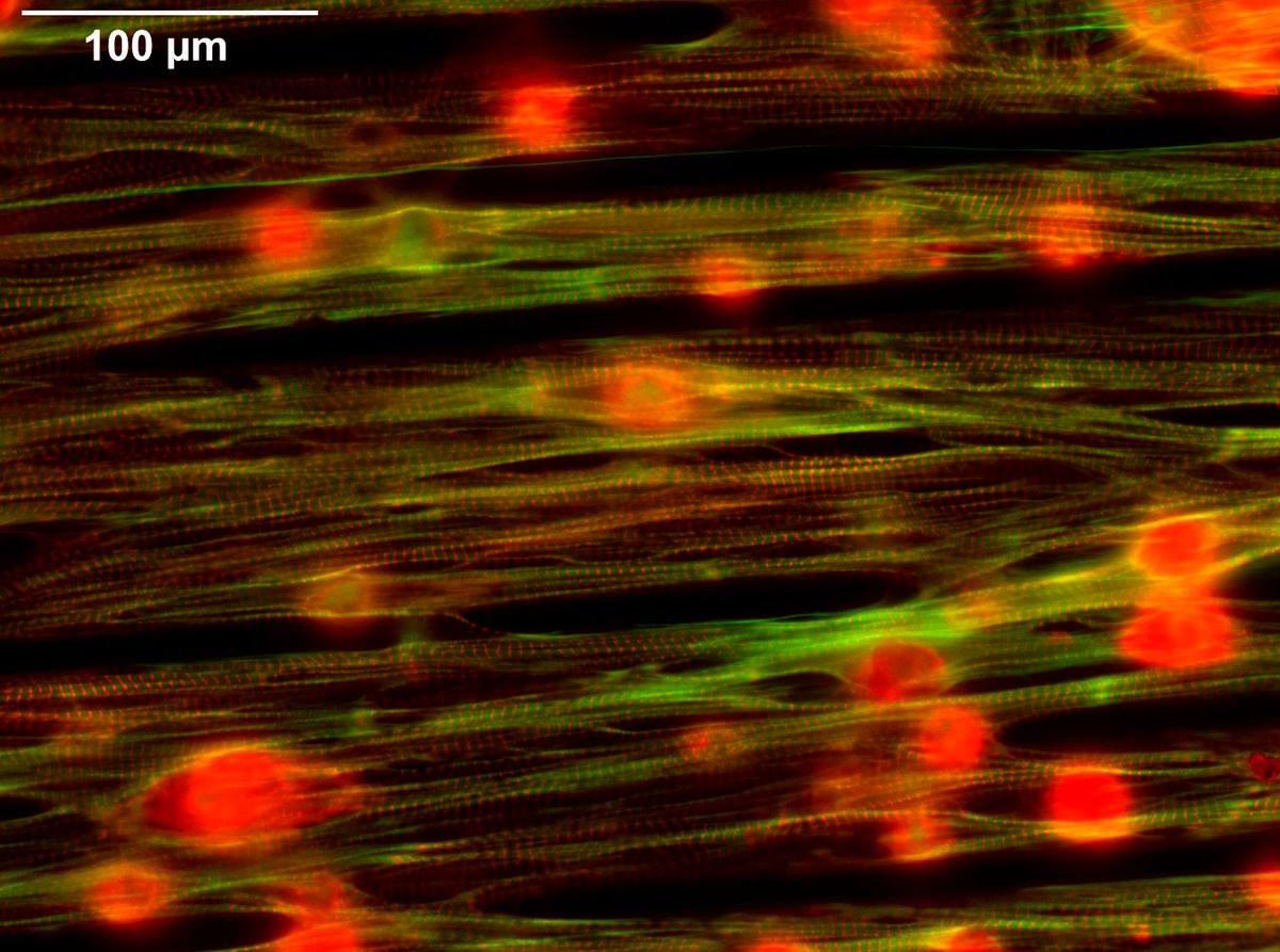 UCI Engineering tweet media
