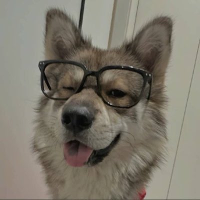 tx45452's tweet photo. #NewProfilePic https://t.co/hIlqsmQ8gr