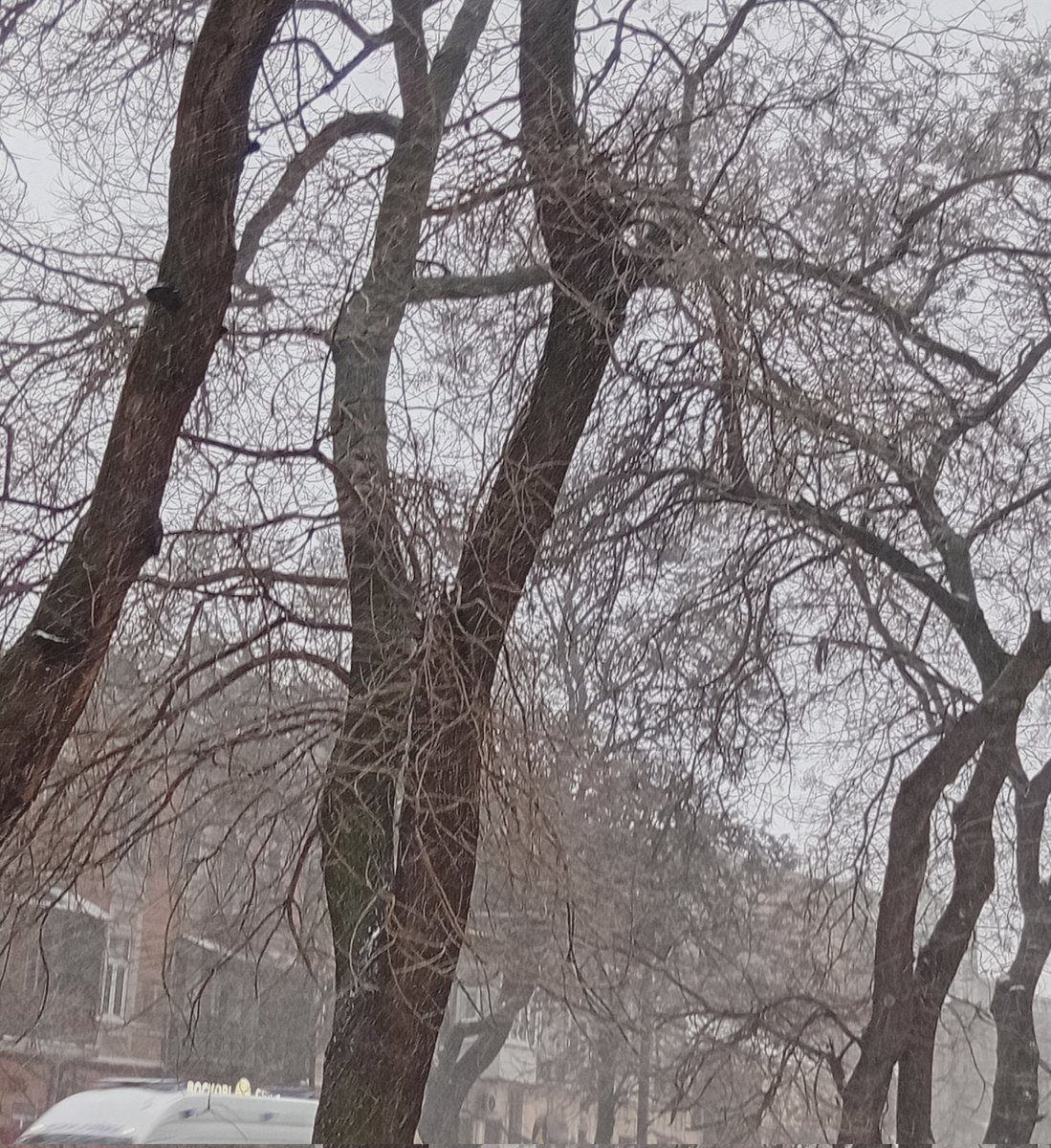 Катерина Галич tweet media