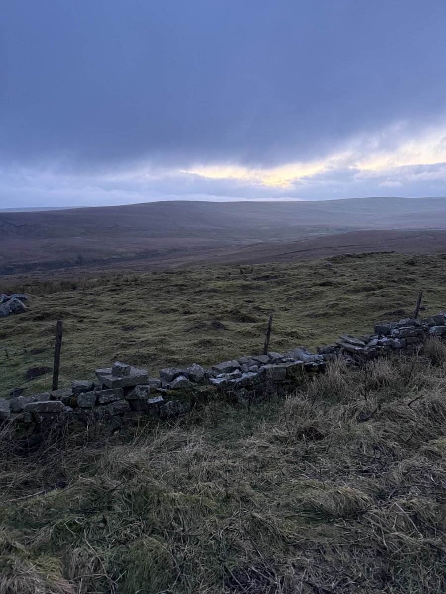 Postcard from Britain tweet media