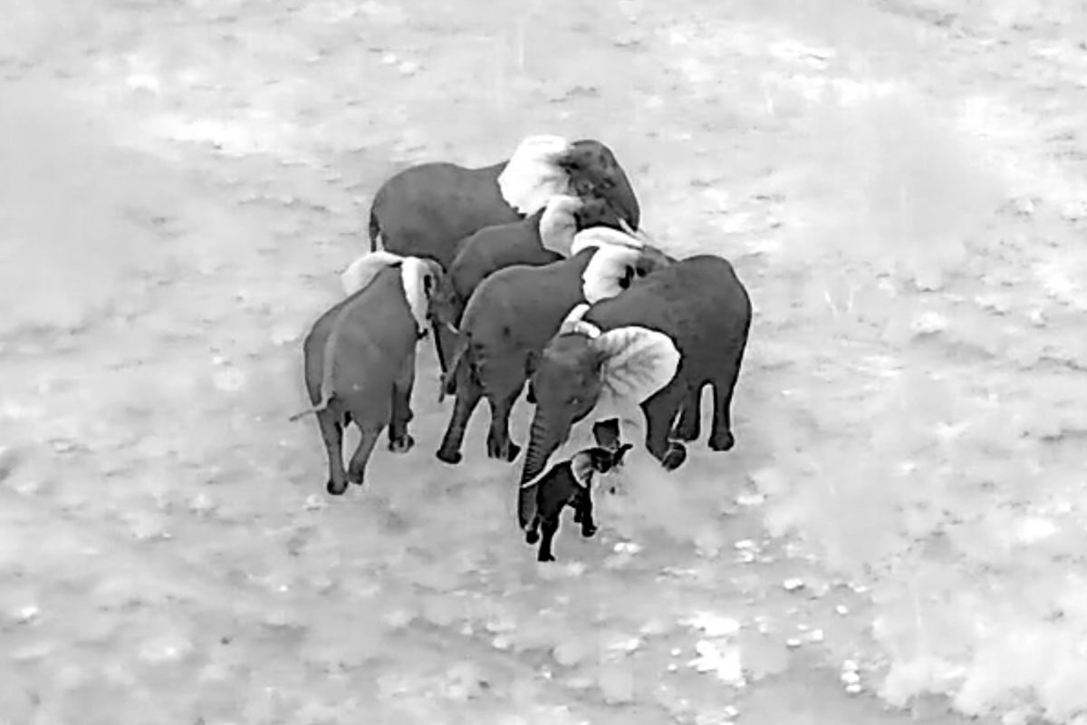 Big Life Foundation tweet media