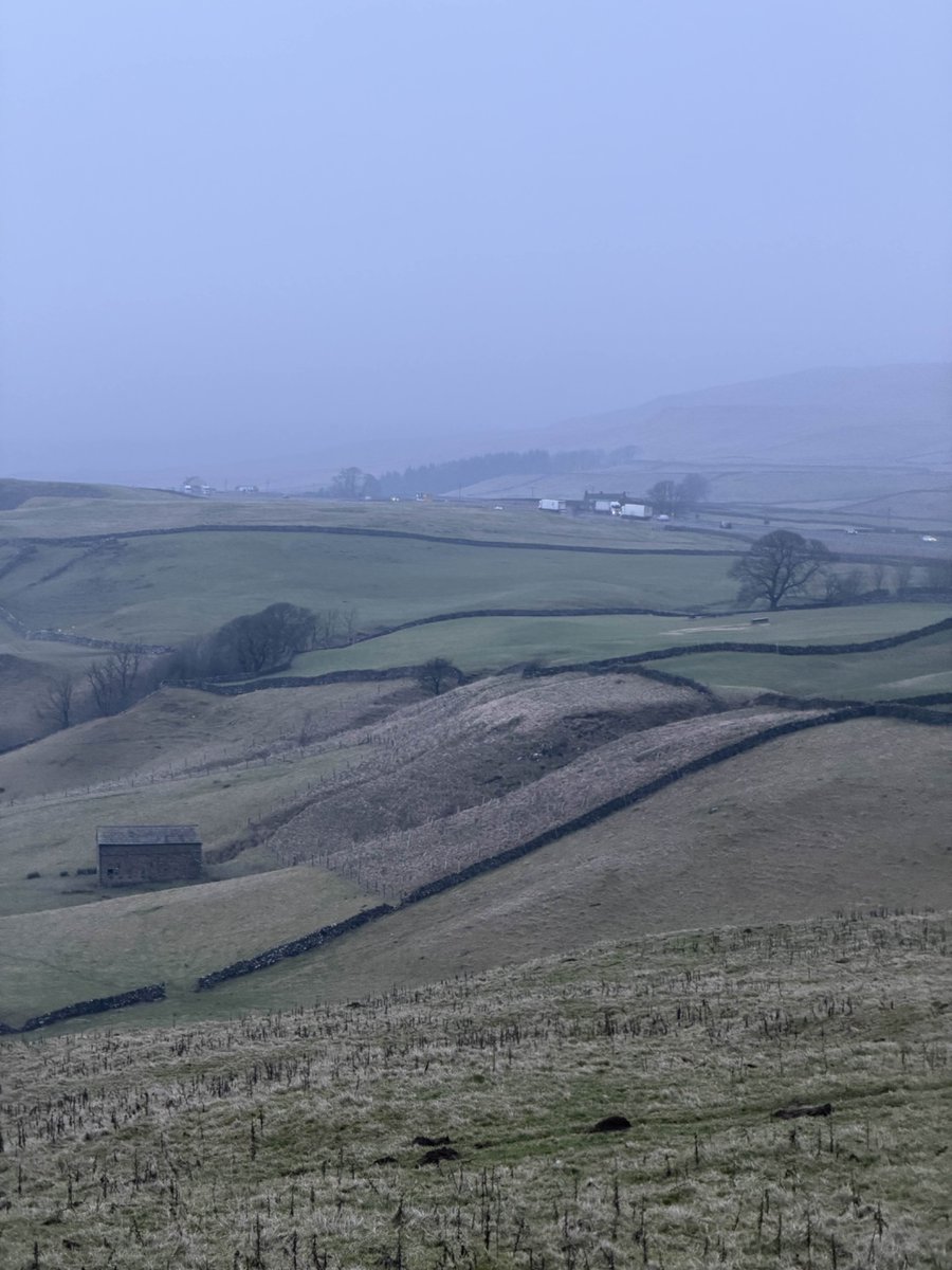 Postcard from Britain tweet media