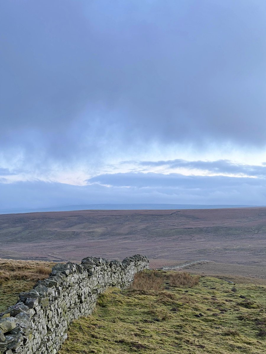 Postcard from Britain tweet media