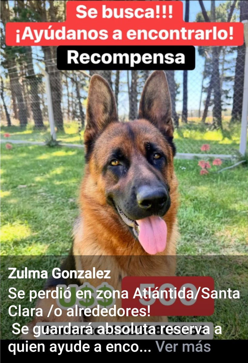 Soy Teresa (@salvemospilar) on Twitter photo 