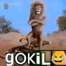 tanyarl tarawih yang sangat mantap, imamnya spam al ikhlas