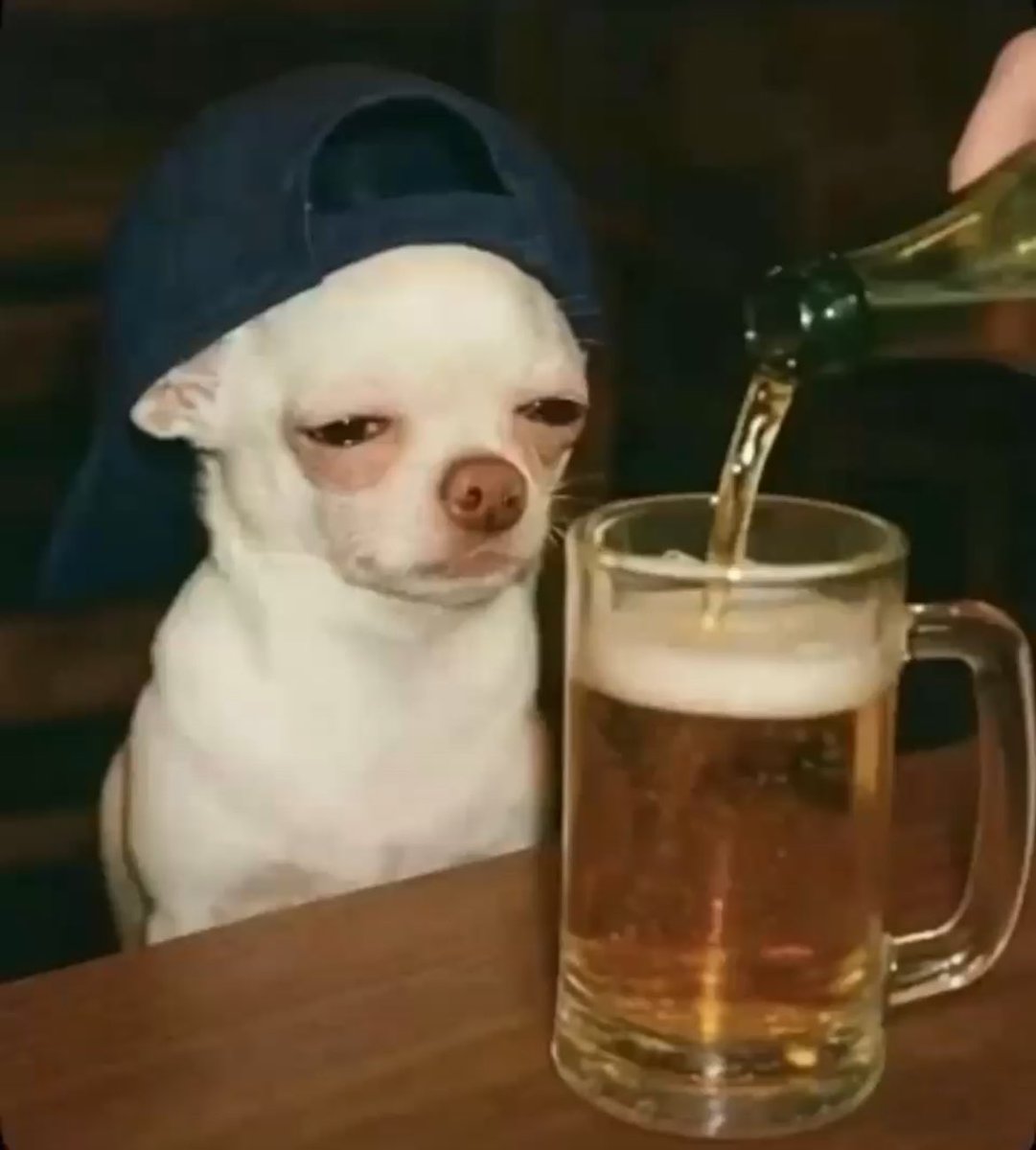 Full am weller, until my followers reach 500k…. Let keep doing follow for follow.. we self deserve a better engagement…