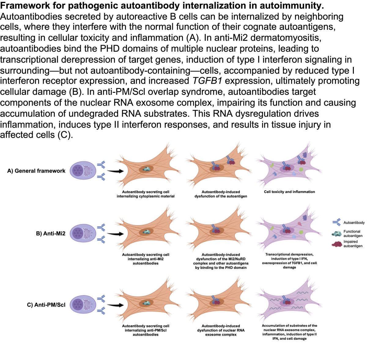 Iago Pinal-Fernandez tweet media