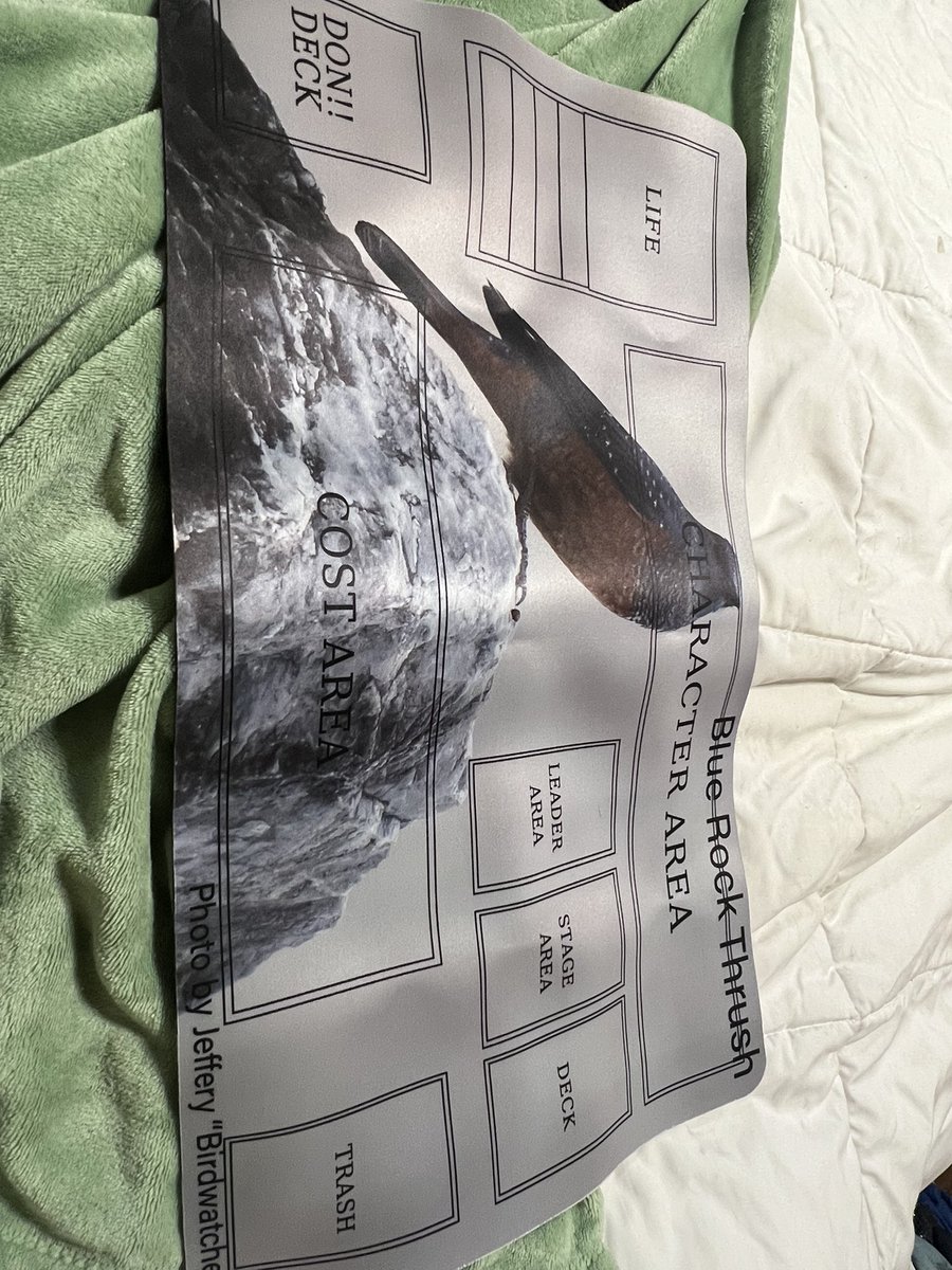 My new favorite one piece playmat for playing the card game going to be my favorite mat I use ever. This will remind me of going on the japan cruise every time I play it.