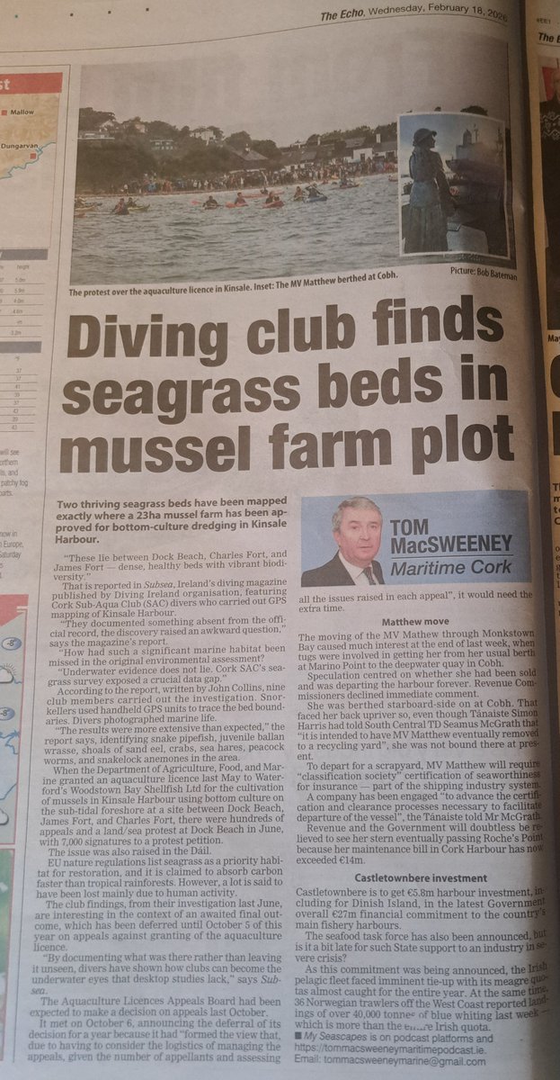 Tom MacSweeney Seascapes tweet media