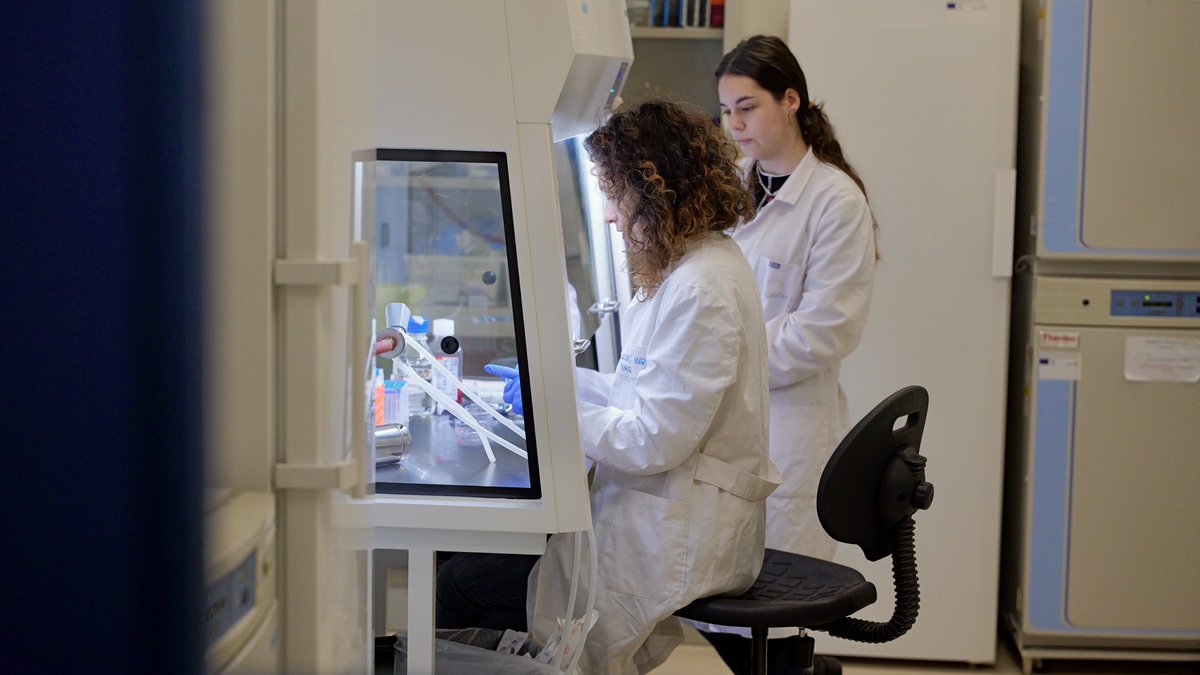 José Luis Sanz tweet media