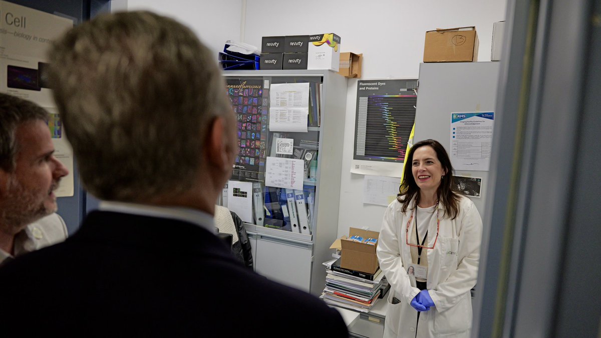 José Luis Sanz tweet media