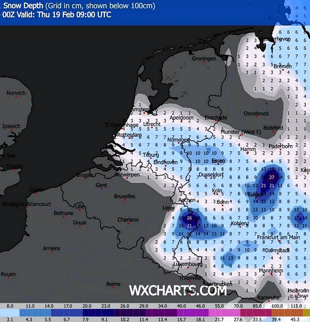 Wouter van Bernebeek tweet media