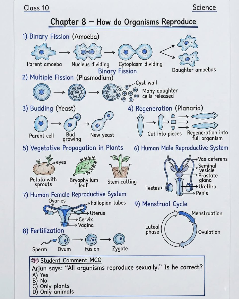 skglearning's tweet image. Basic 008
Reproduction in Organisms 🌸

Learn asexual reproduction, sexual reproduction, human reproductive system, fertilization, and menstrual cycle in a simple revision format.

#Reproduction #HumanReproduction #BiologyNotes