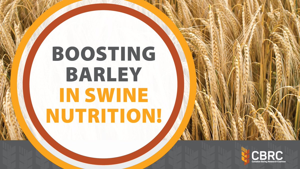 Canadian Barley Research Coalition tweet media