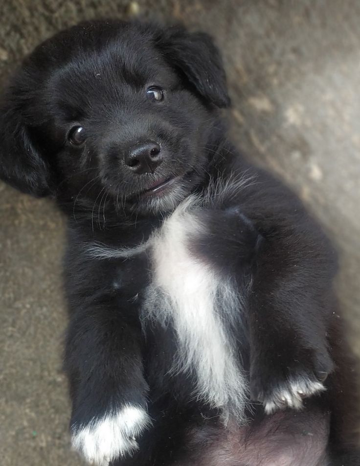 I Can't Find a Suitable Name For Him..