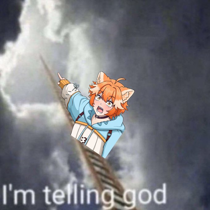 Toffee 🇫🇷 tweet media