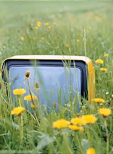 L',uomo della televisione disse:
"Nessuna lacrima 
vada sprecata...
In fin dei conti, cosa c'è 
più bello della vita?
La primavera è quasi 
cominciata"

Francesco De Gregori
#IncipitDiPrimavera 
#SalaLettura