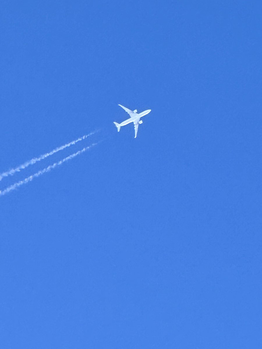 Austin MacDonald tweet media