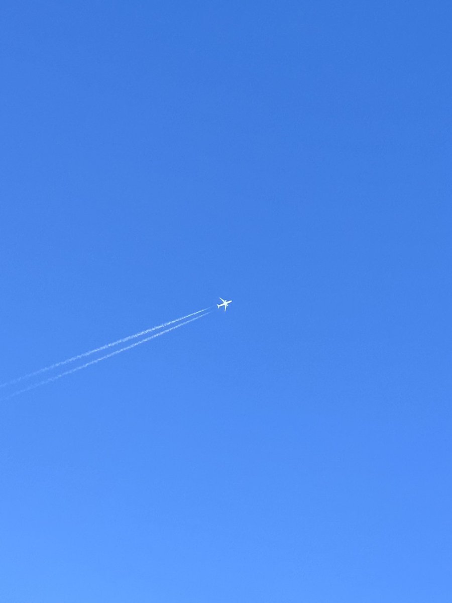 Austin MacDonald tweet media