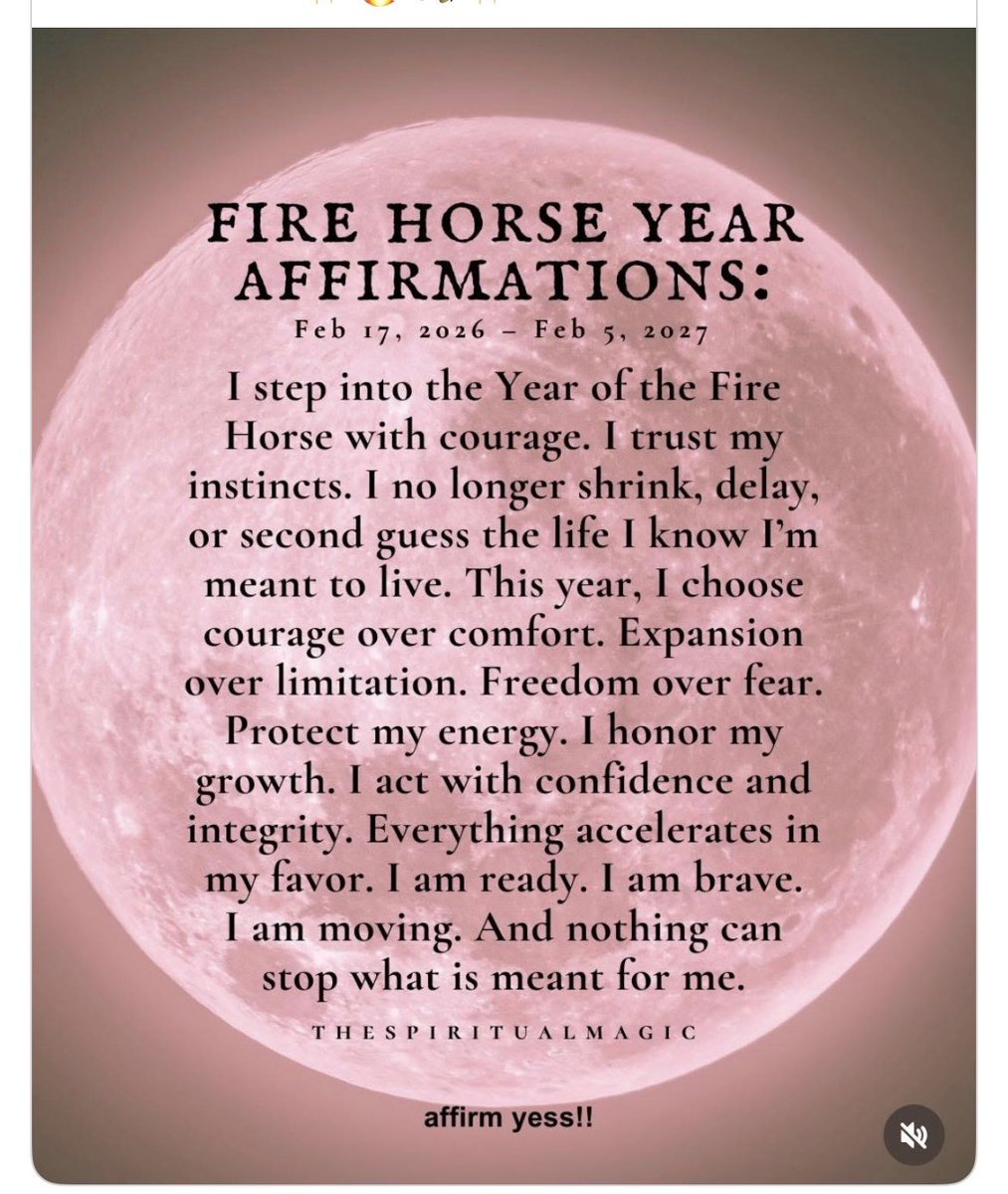 Anne_Coates1's tweet photo. Yesterday evening celebrated #ChineseNewYear2026 with my family and we even had fortune cookies though fortunately no #FreakierFriday moments 😂#YearOfTheFireHorse https://t.co/4S3vlwwG8K