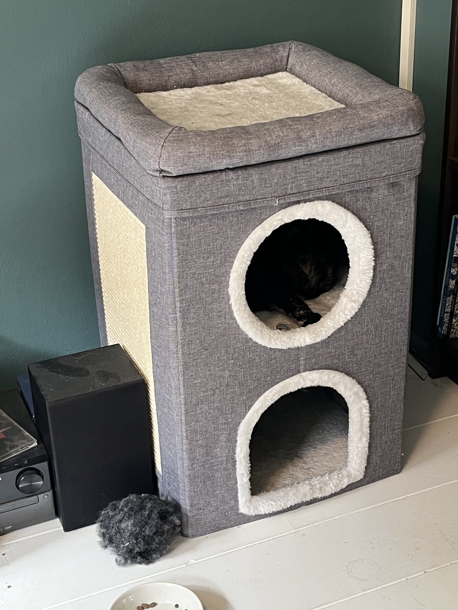 Mevrouw de Advocaat tweet media