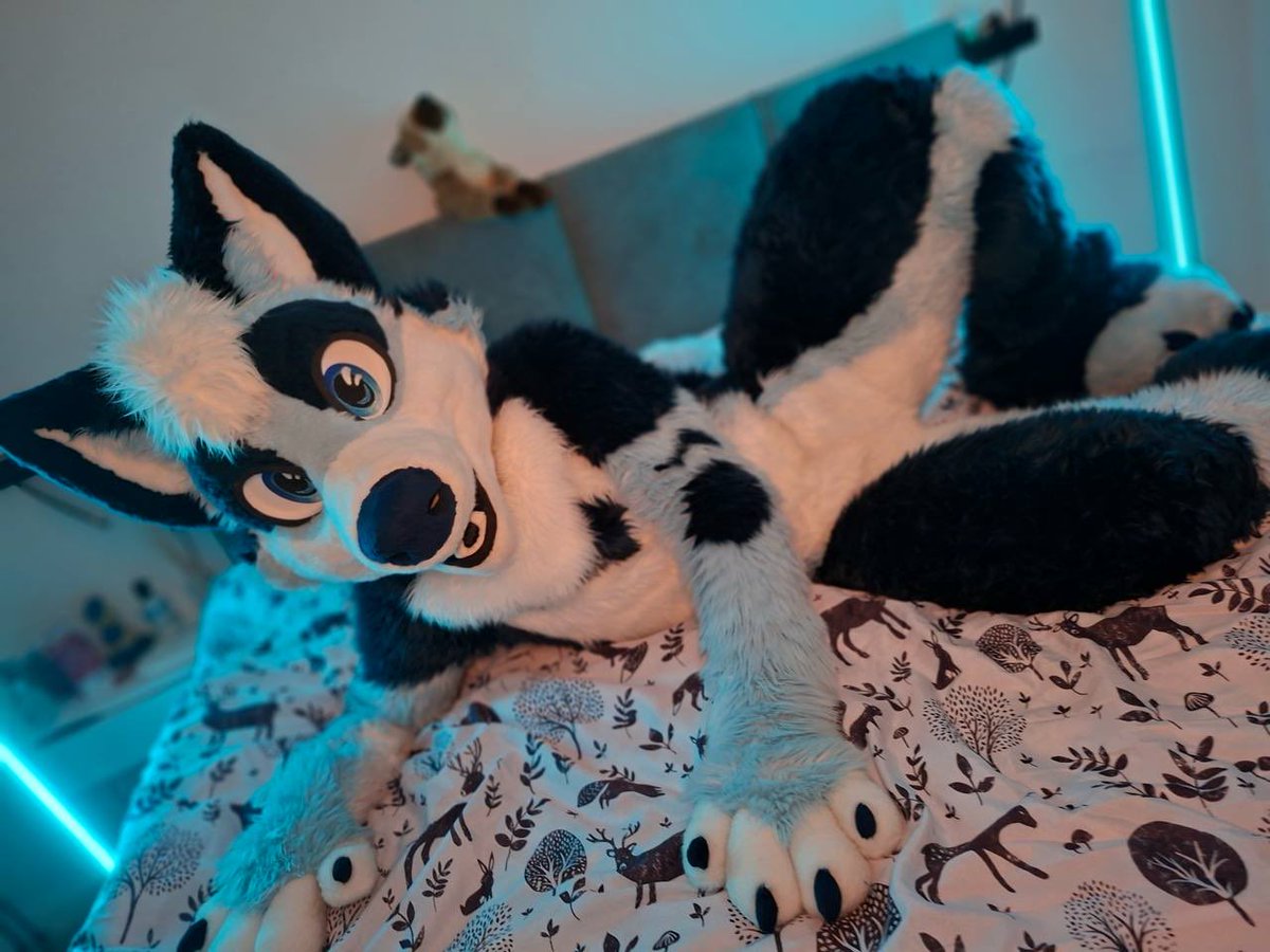 Rokaj 🔜NFC tweet media